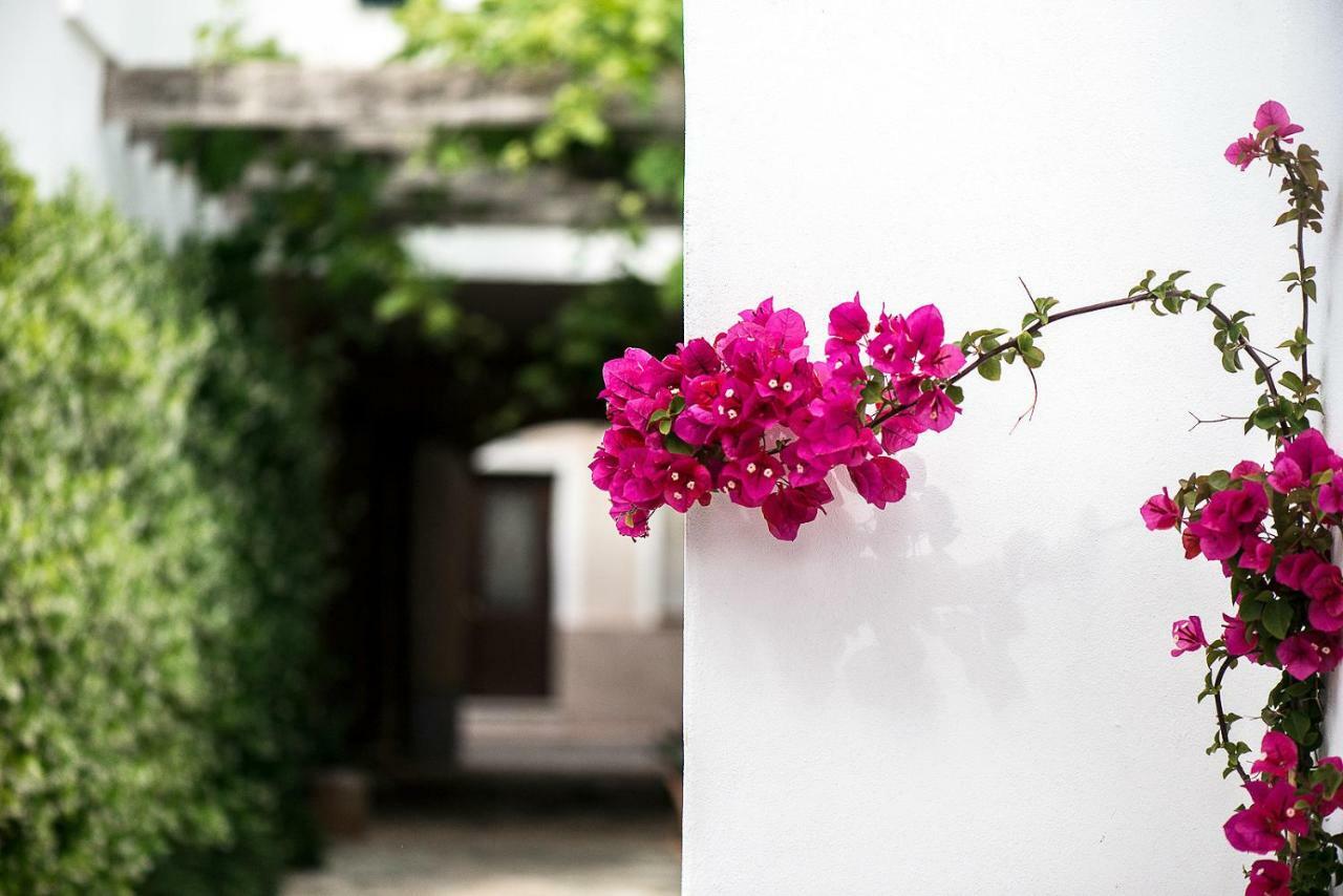 Coliving Add Livitum Hotel Ciutadella  Luaran gambar